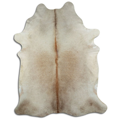 Champagne koskind XXL