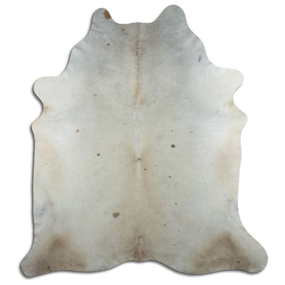 Champagne koskind XXL