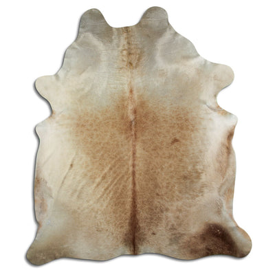 Champagne koskind XXL