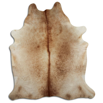 Champagne koskind XL