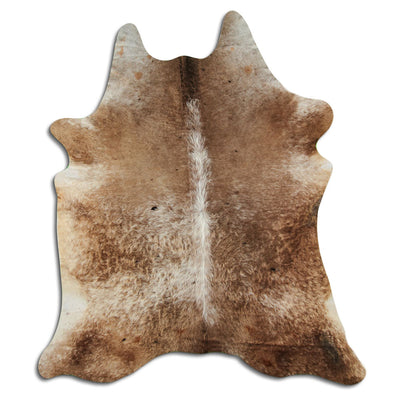 Champagne koskind XXL