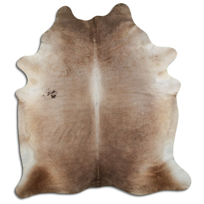 Champagne koskind XXL