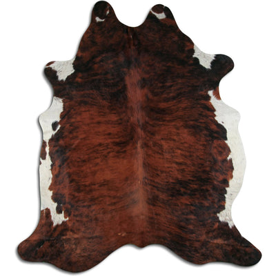 Eksotisk koskind XXL