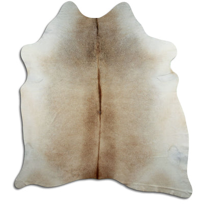 Champagne koskind XL