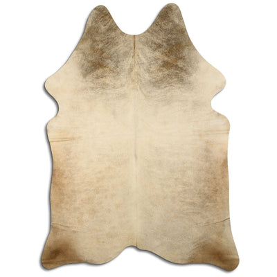 Champagne koskind XXL