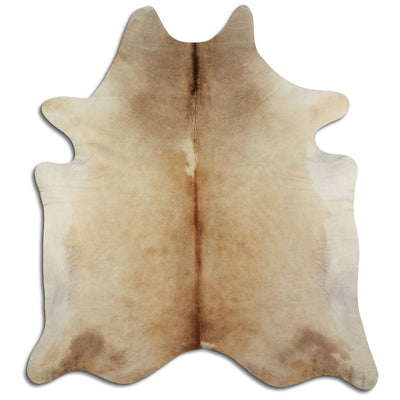 Champagne koskind XL