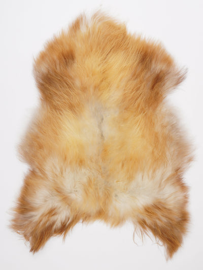 Islandsk lammeskind L