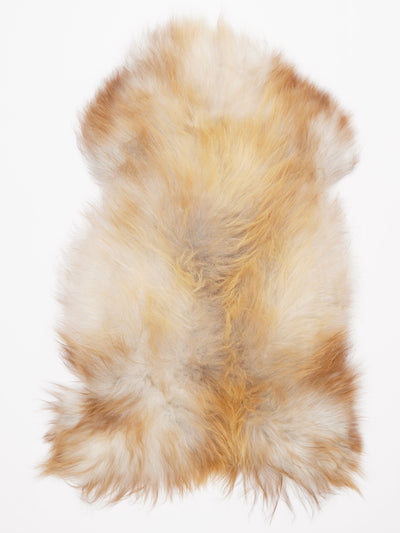 Islandsk lammeskind L