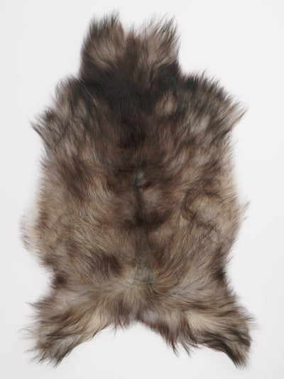 Gråt islandsk lammeskind XL