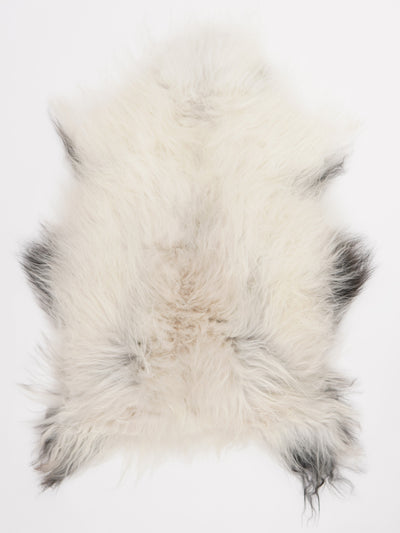 Islandsk lammeskind L