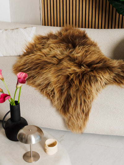 Islandsk lammeskind “Amber”