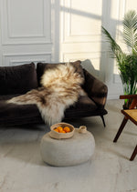 Muflon islandsk lammeskind