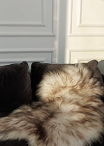 Muflon islandsk lammeskind