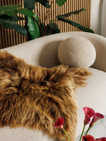 Islandsk lammeskind “Amber”