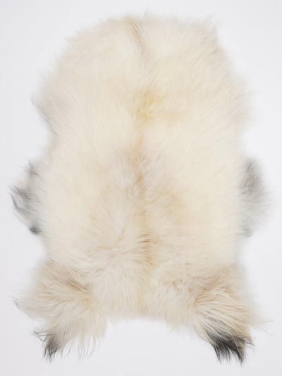 Islandsk lammeskind L