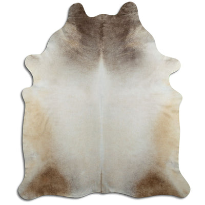 Champagne koskind XXL