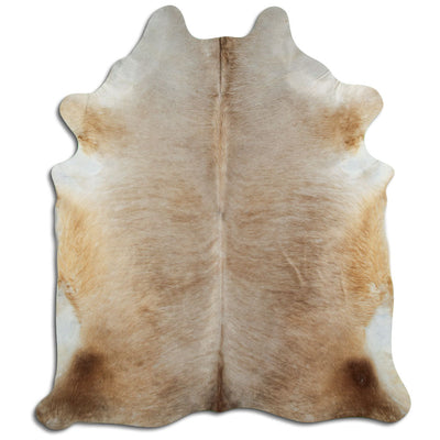 Champagne koskind XL