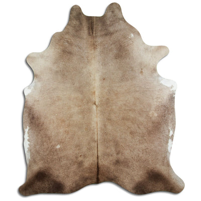 Champagne koskind XXL