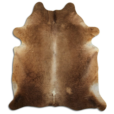 Champagne koskind XL