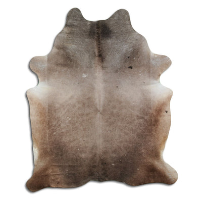 Champagne koskind XL