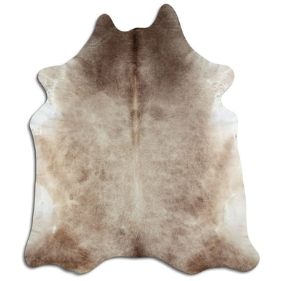 Champagne koskind XXXL