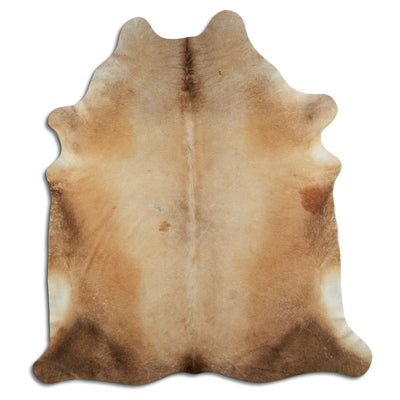 Champagne koskind XXL