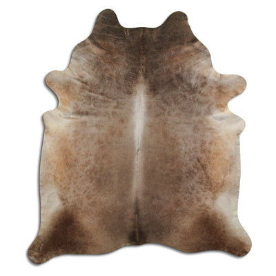 Champagne koskind XXL