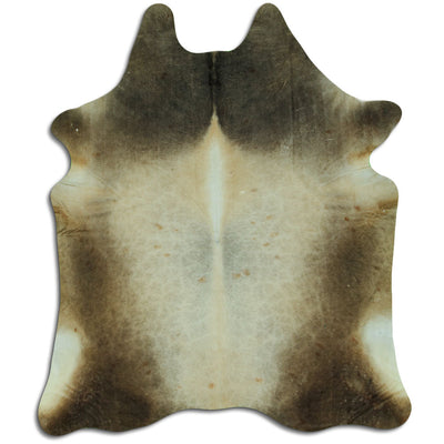 Champagne koskind XXXL