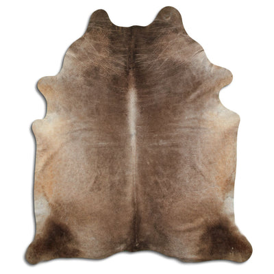 Champagne koskind XXL