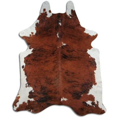 Eksotisk koskind XXL