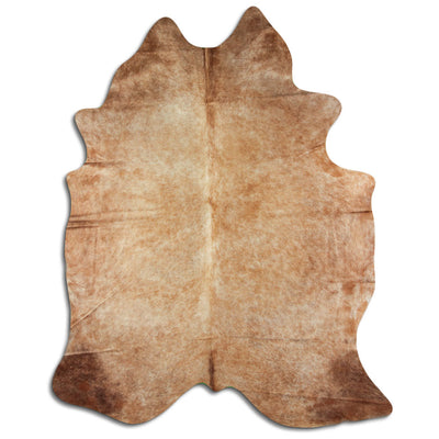 Champagne koskind XXL