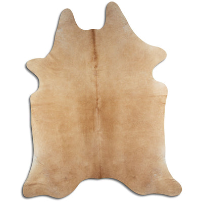 Champagne koskind XXL