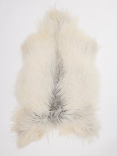 Islandsk lammeskind L