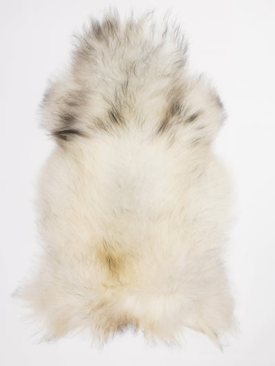 Islandsk lammeskind XL